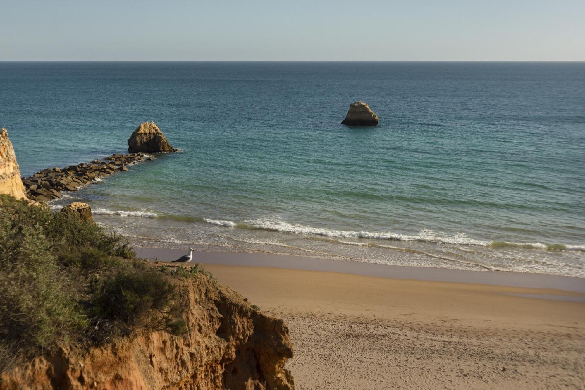 New - Portimao Casinha Apartment Bagian luar foto